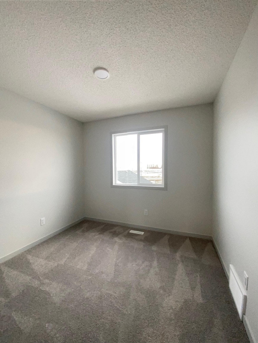 6285 175a Avenue Northwest, Edmonton, AB, T5Y 3N7 - 10