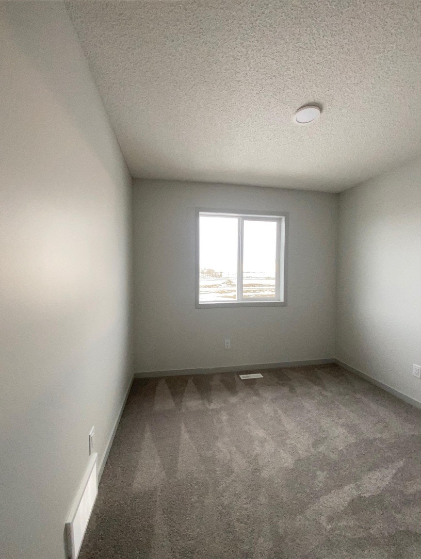 6285 175a Avenue Northwest, Edmonton, AB, T5Y 3N7 - 11