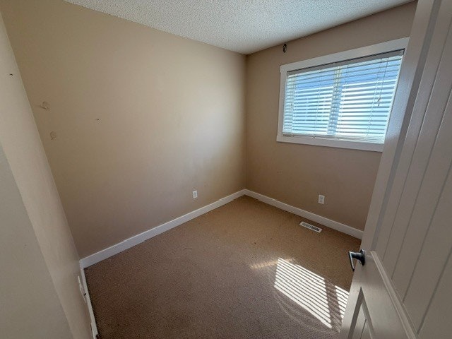 3715 11 Street Nw, Edmonton, AB, T6T 0E8 - 17