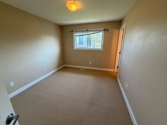 3715 11 Street Nw, Edmonton, AB, T6T 0E8 - 19