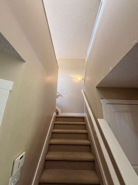 3715 11 Street Nw, Edmonton, AB, T6T 0E8 - 12