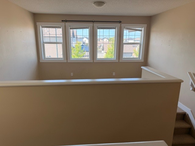 3715 11 Street Nw, Edmonton, AB, T6T 0E8 - 14