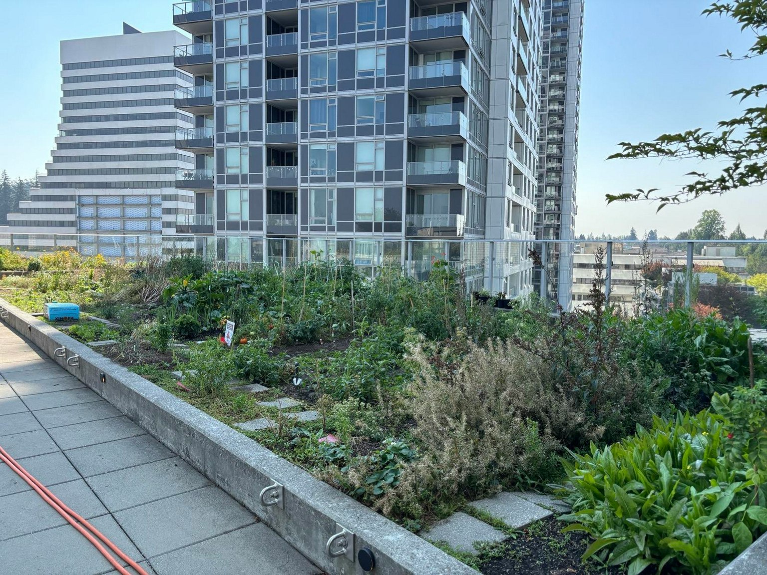 606-5470 Ormidale Street, Vancouver, BC, V5R 0G6 - 17