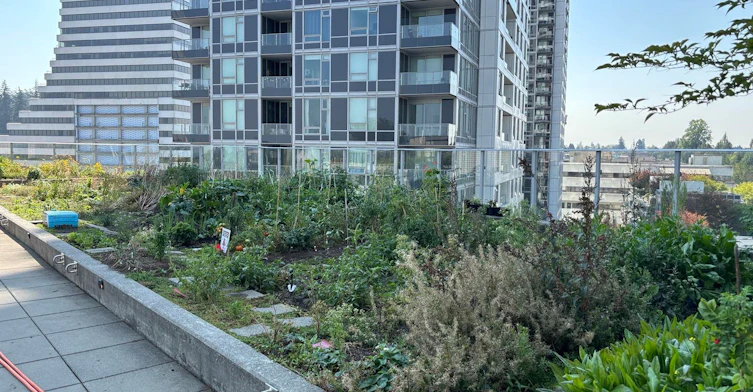 606-5470 Ormidale Street, Vancouver, BC, V5R 0G6 - 17