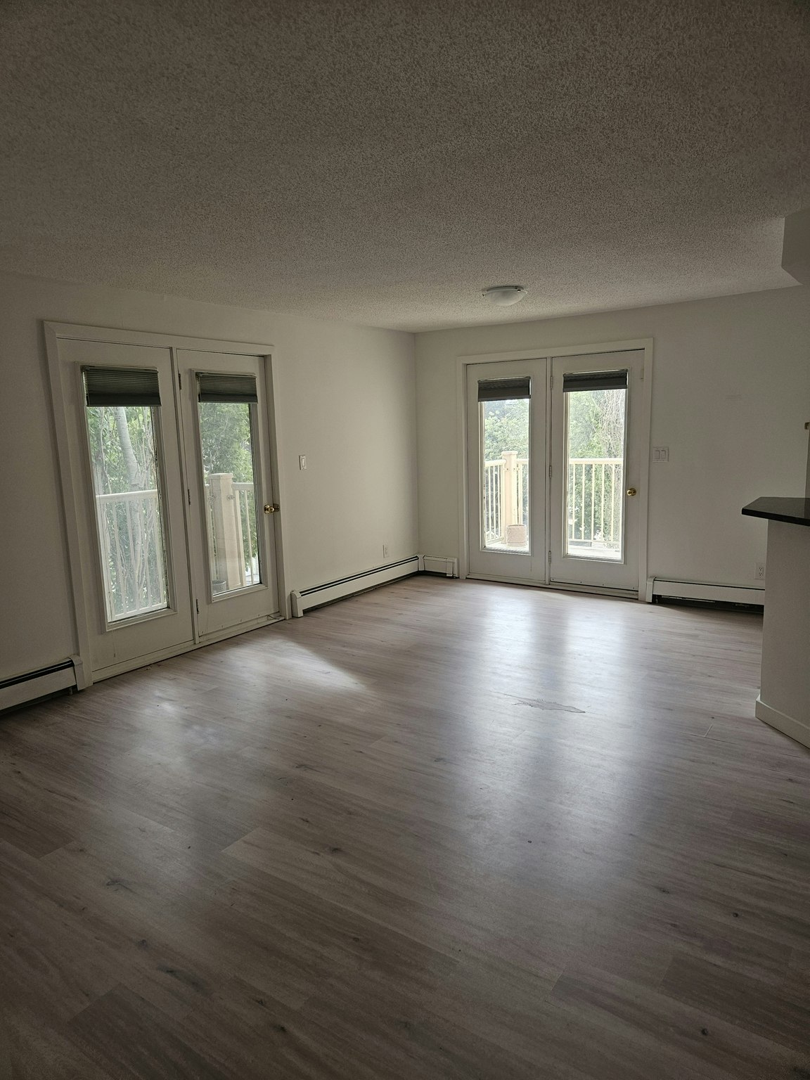 2315 Cornwall Street, Regina, SK, S4P 2L4 - 7