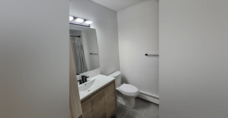 2315 Cornwall Street, Regina, SK, S4P 2L4 - 20