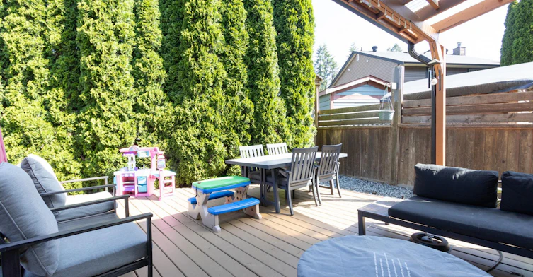 21573 Cherrington Avenue, Maple Ridge, BC, V2X 8R2 - 21