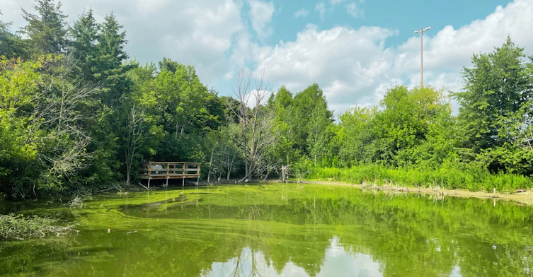 274-107-278 Cedar Avenue, Richmond Hill, ON, L4C 2B4 - 20