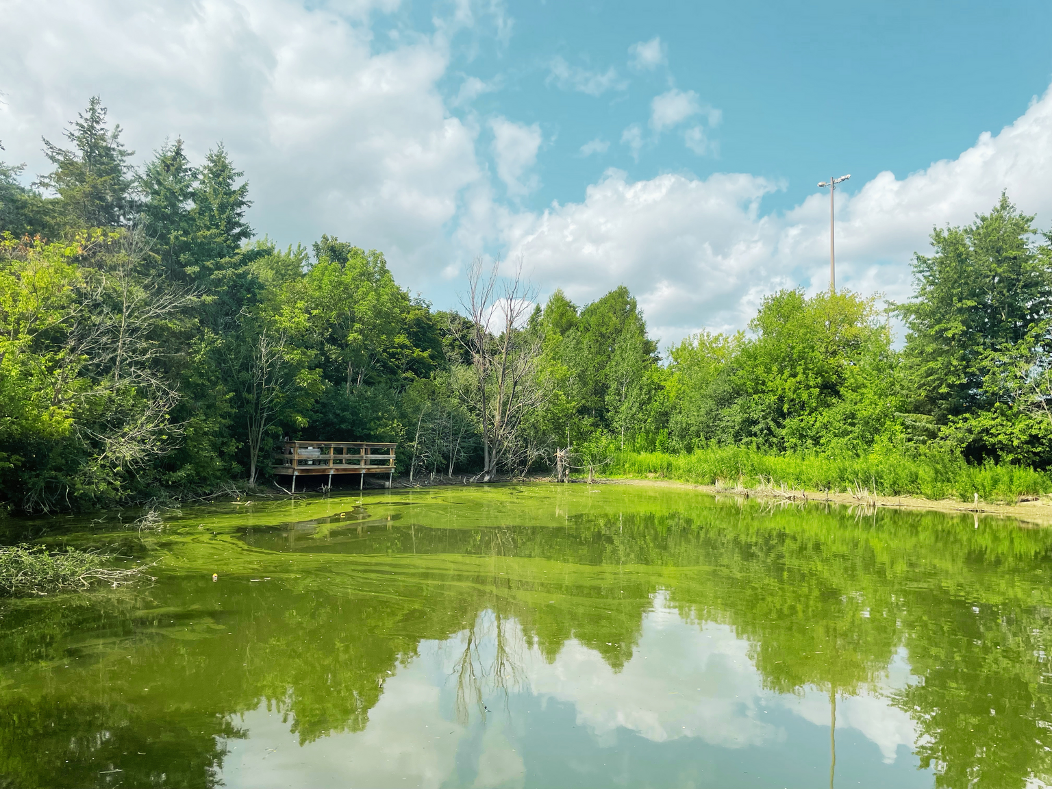 276-102-278 Cedar Avenue, Richmond Hill, ON, L4C 2B4 - 19