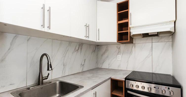 303-80 Des Pins Avenue Ouest, Montréal, QC, H2W 1R1