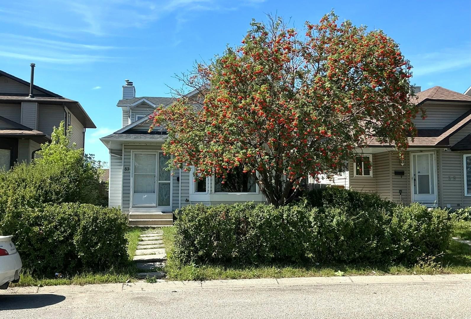 37 Martingrove Way Ne, Calgary, AB, T3J 2T2 - 24