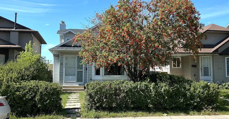 37 Martingrove Way Ne, Calgary, AB, T3J 2T2 - 24
