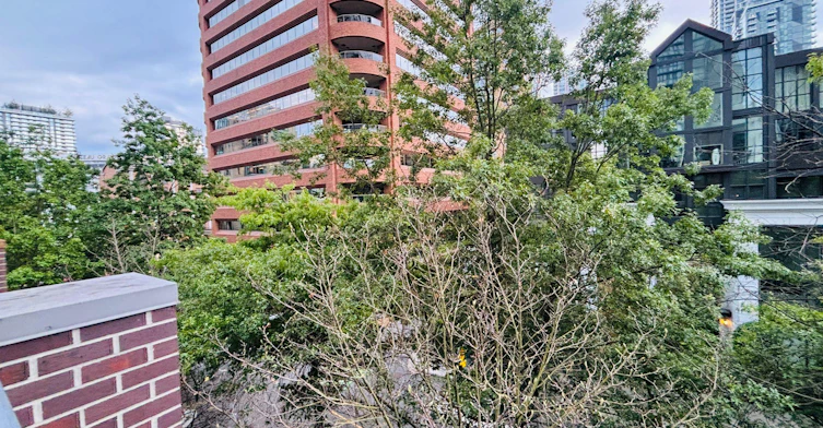 2 Beds-885 Helmcken Street, Vancouver, BC, V6Z 1B1 - 44