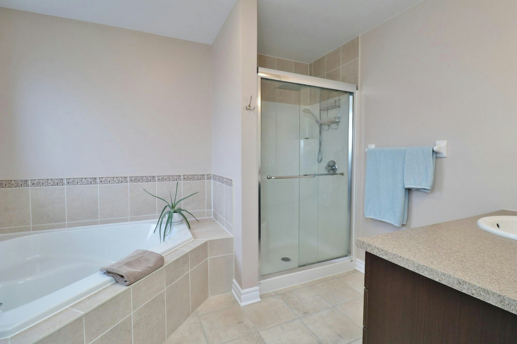 219 Gossamer Street, Ottawa, ON, K1C 7G4 - 24