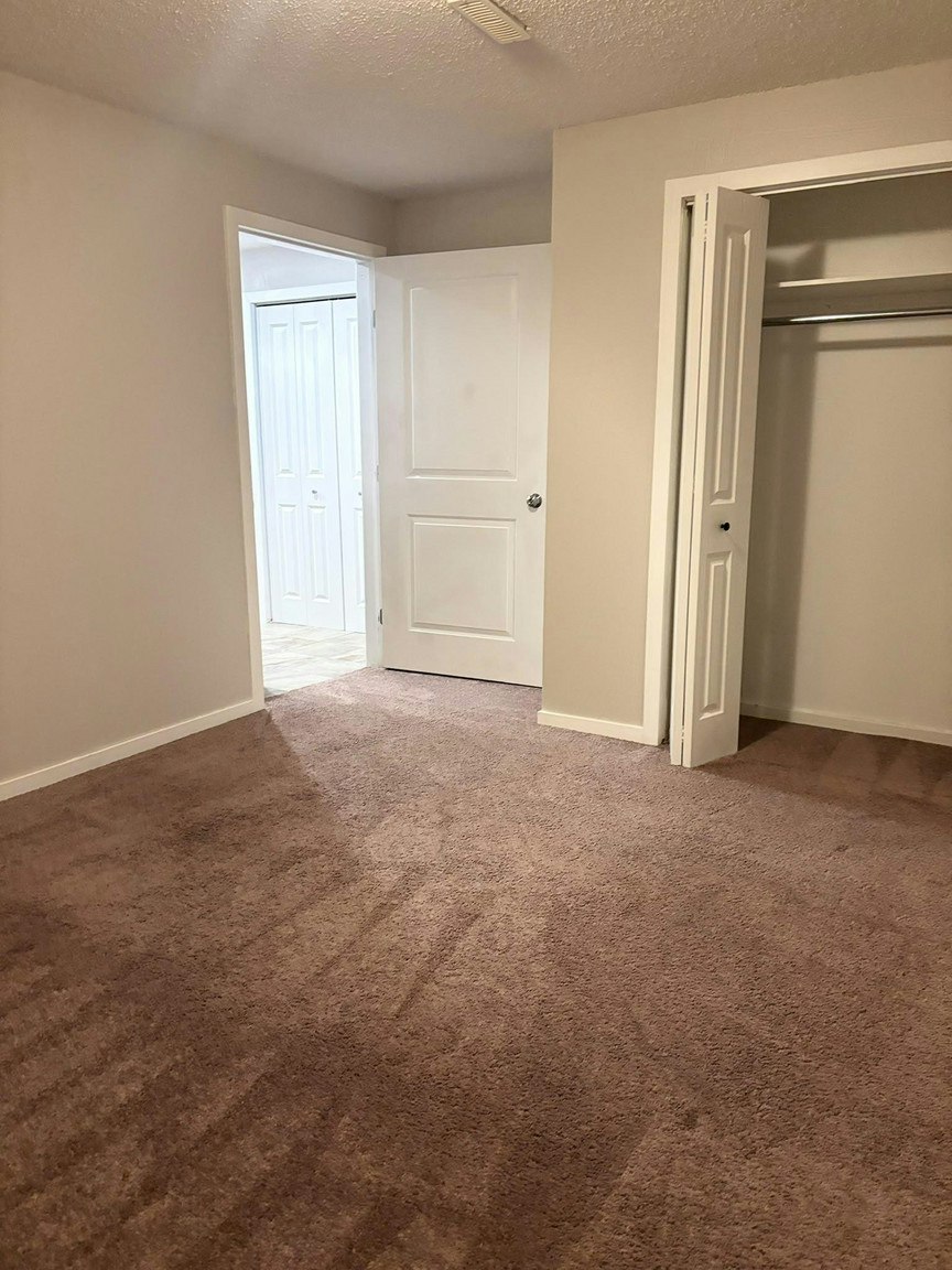 194 Skyview Springs Crescent Northeast, Calgary, AB, T3N 0B8 - 25