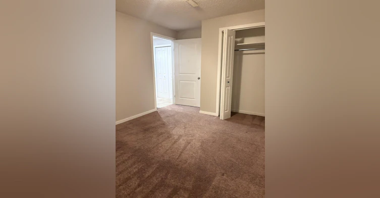 194 Skyview Springs Crescent Northeast, Calgary, AB, T3N 0B8 - 25