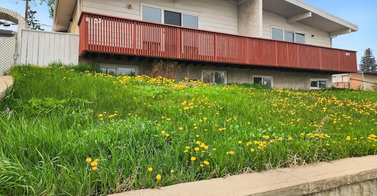 Upper-6335 4 Upper Unit Street Northwest, Calgary, AB, T2K 1B7 - 2