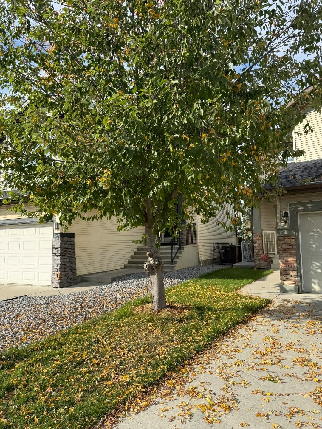 191 Cougarstone Court Southwest, Calgary, AB, T3H 5R3 - 36