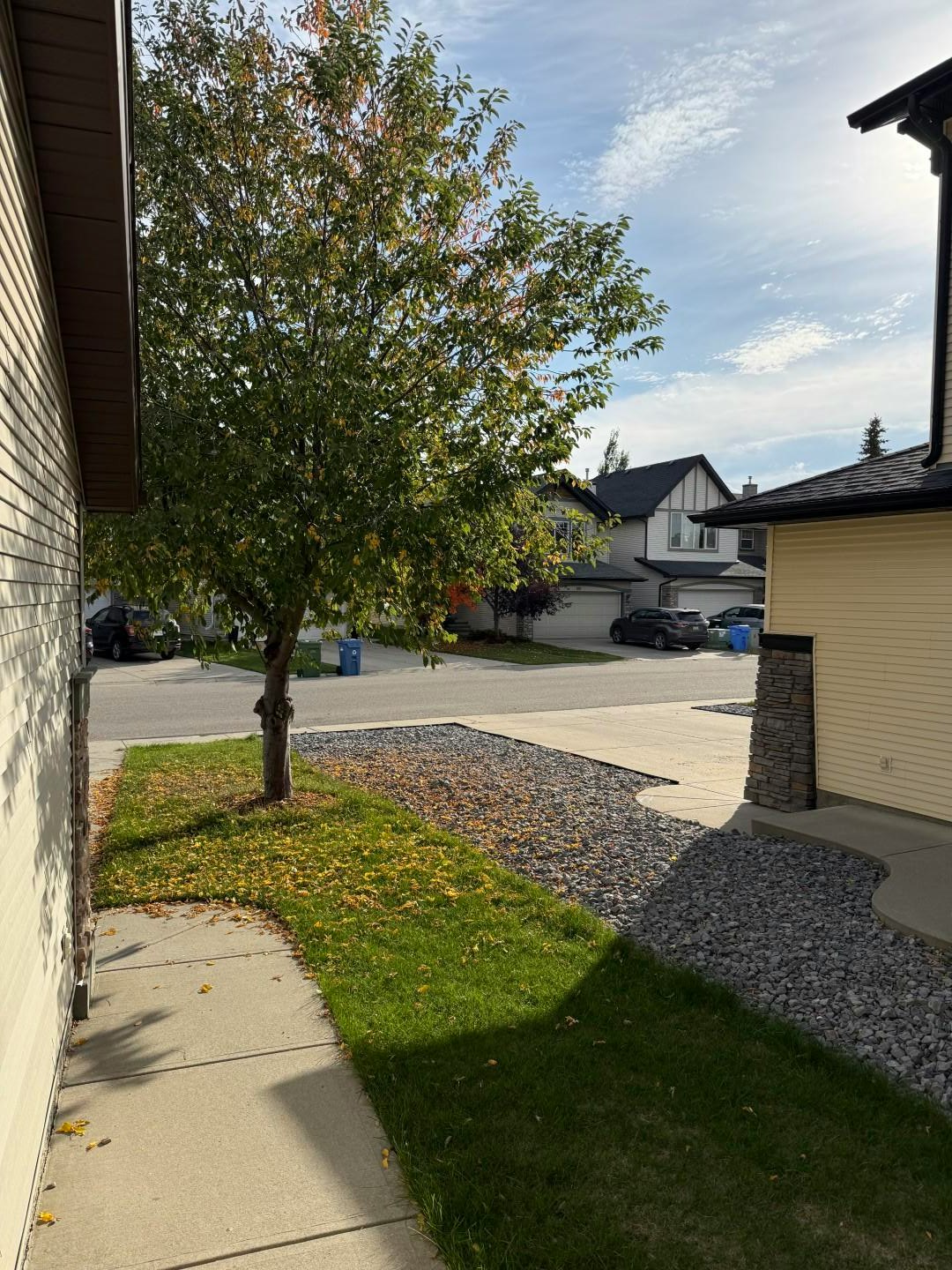 191 Cougarstone Court Southwest, Calgary, AB, T3H 5R3 - 37