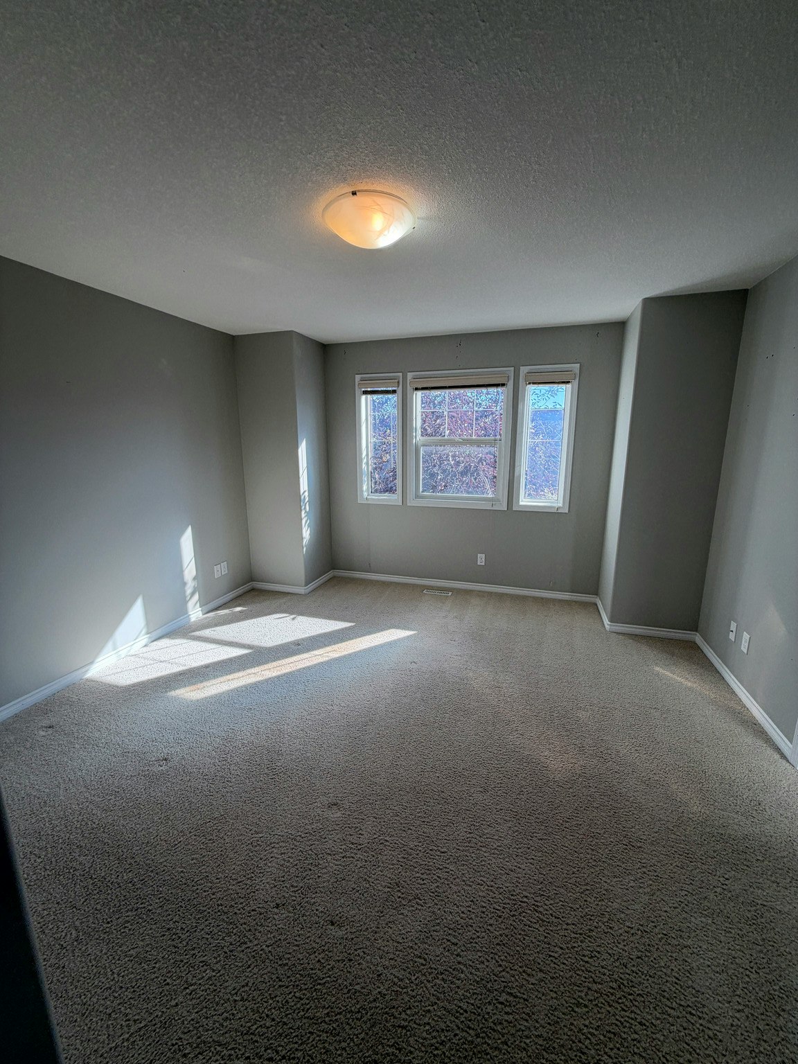 7216 21 Avenue Southwest, Edmonton, AB, T6X 0L5 - 19