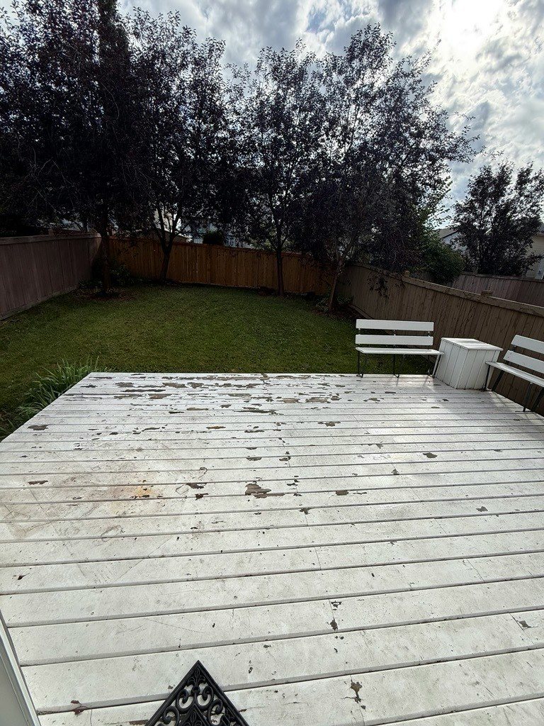 1433 Hodgson Way Nw, Edmonton, AB, T6R 3N5 - 20