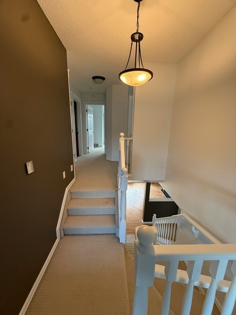 1433 Hodgson Way Nw, Edmonton, AB, T6R 3N5 - 23