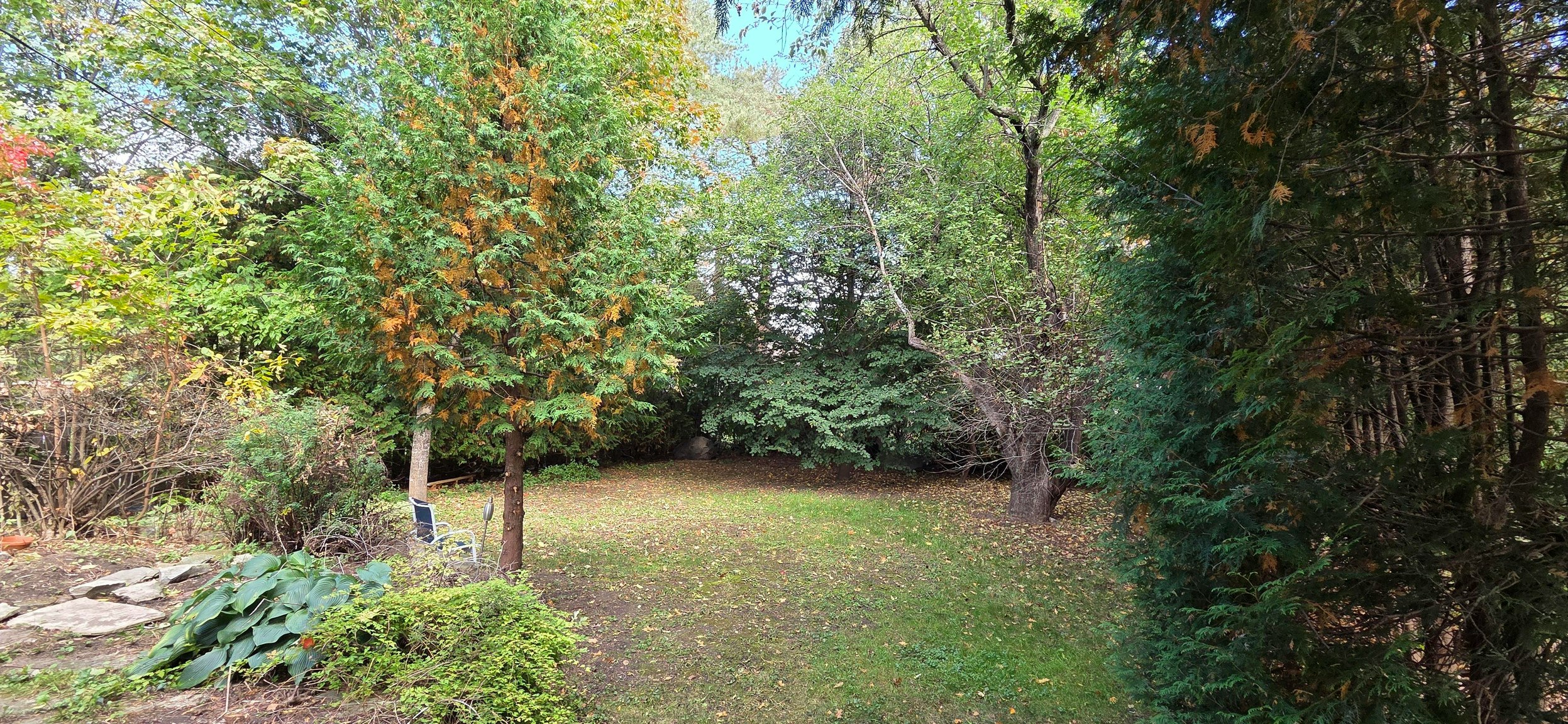869-869 Rex Avenue, Ottawa, ON, K2A 2P6 - 48