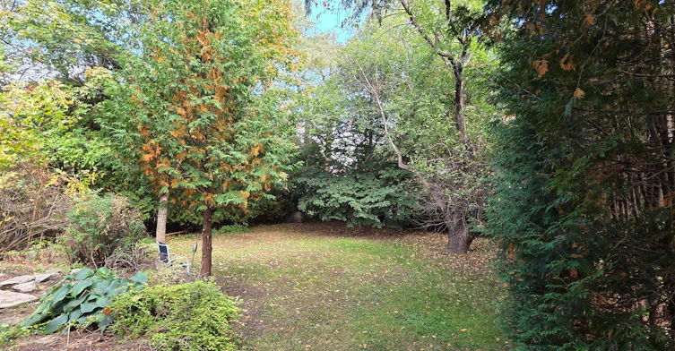869-869 Rex Avenue, Ottawa, ON, K2A 2P6 - 48