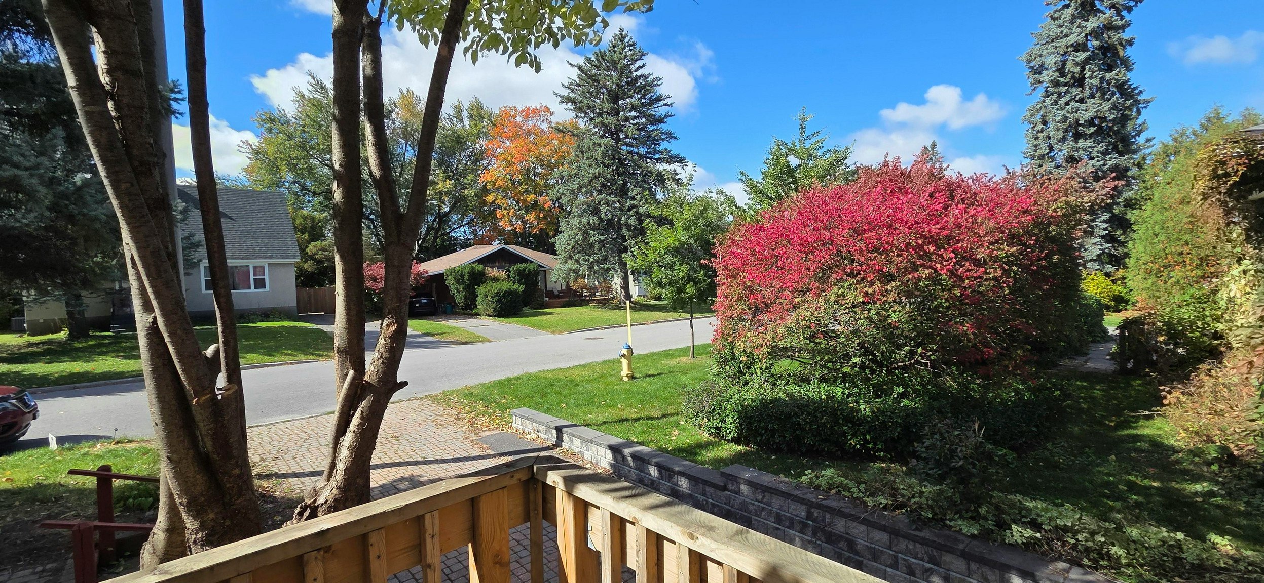 869-869 Rex Avenue, Ottawa, ON, K2A 2P6 - 42