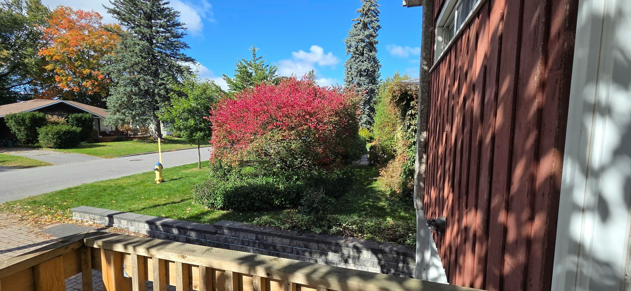 869-869 Rex Avenue, Ottawa, ON, K2A 2P6 - 44