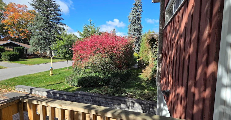 869-869 Rex Avenue, Ottawa, ON, K2A 2P6 - 44