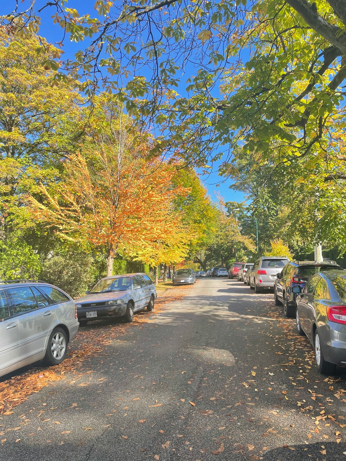 4-1695 Cedar Crescent, Vancouver, BC, V6J 2P8 - 20