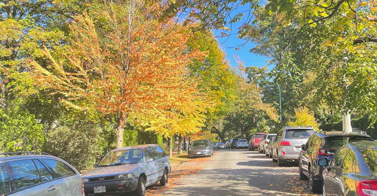4-1695 Cedar Crescent, Vancouver, BC, V6J 2P8 - 20