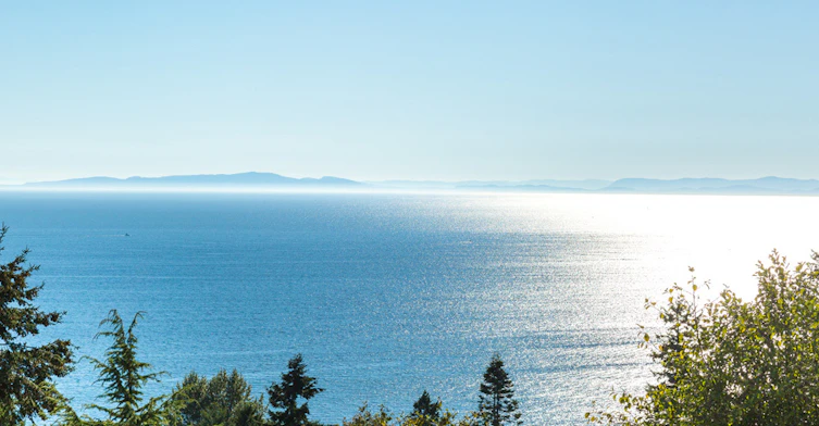 1371 Blackwood Street, Surrey, BC, V4B 3V2 - 11