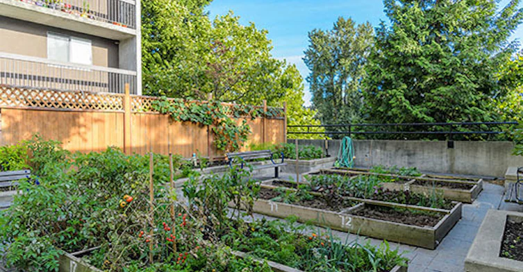 9835 King George Boulevard, Surrey, BC, V3T 5H6 - 23