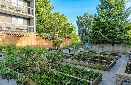 9835 King George Boulevard, Surrey, BC, V3T 5H6 - 23