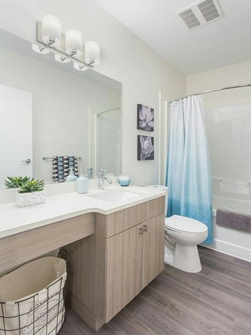 1561 Oxford Street, North Vancouver, BC, V7J 0B1 - 7