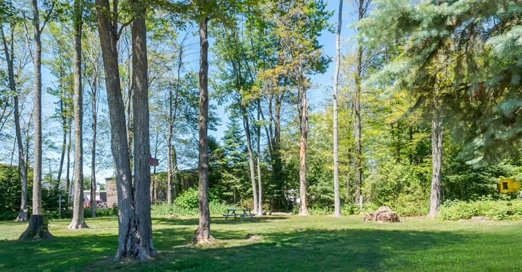 352 Dacey Road, Sault Ste. Marie, ON, P6A 5J7 - 13