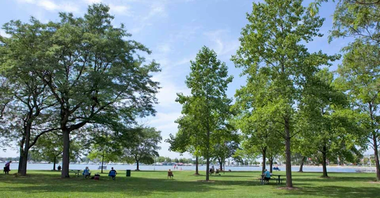 161 Nelson Street, Sarnia, ON, N7T 7T4 - 24
