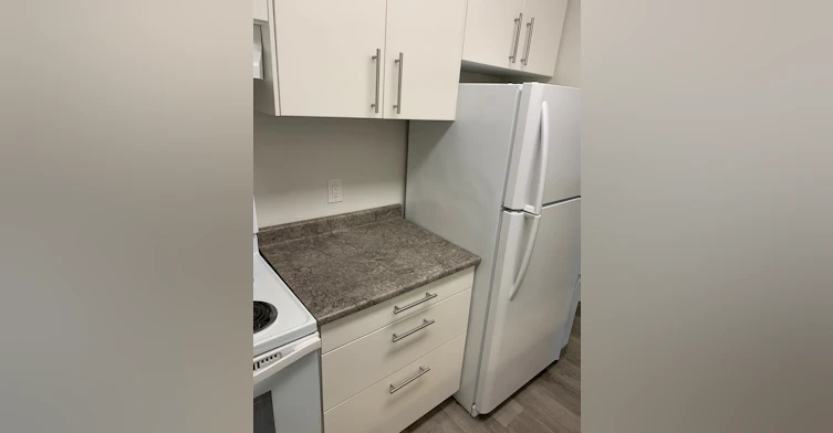 193 Quail Ridge Road, Winnipeg, MB, R2Y 2G6 - 5