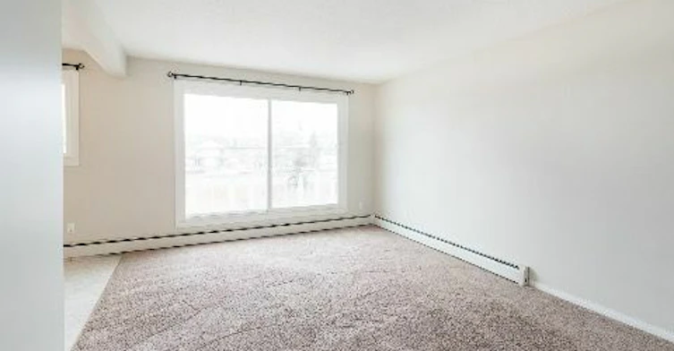 9725 119 Avenue NW, Edmonton, AB, T5G 0P9 - 13