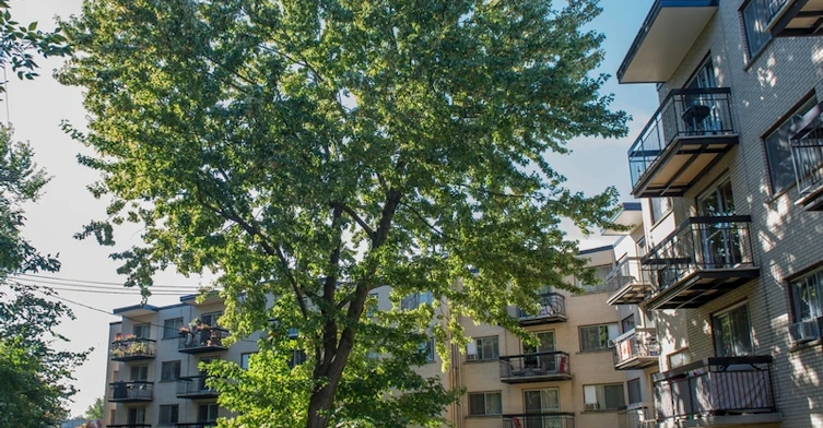 5215 Riviera Boulevard, Montréal, QC, H8Z 2Z5 - 9