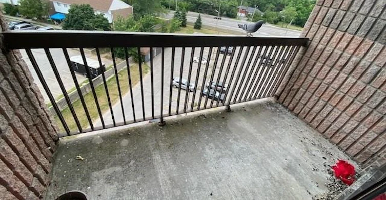 17 Eldon Hall Place, Kingston, ON, K7M 7H5 - 12