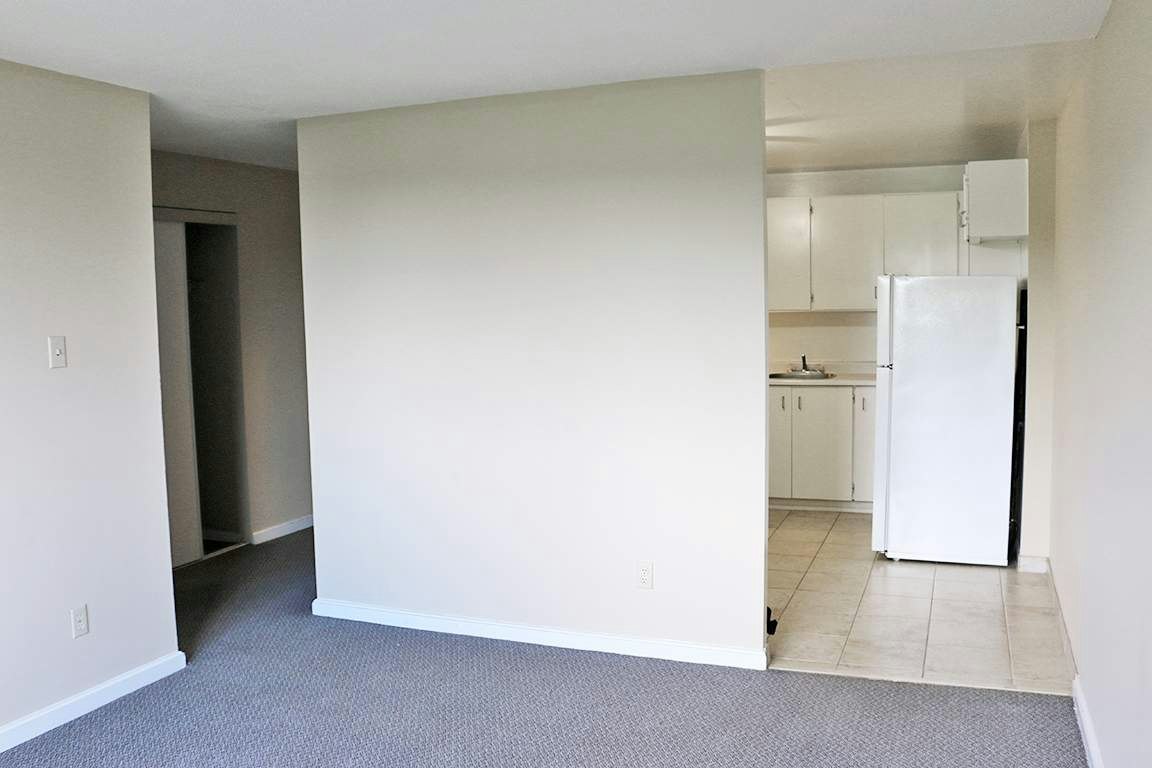 45 Victoria Avenue, Chatham-Kent, ON, N0P 2C0 - 4