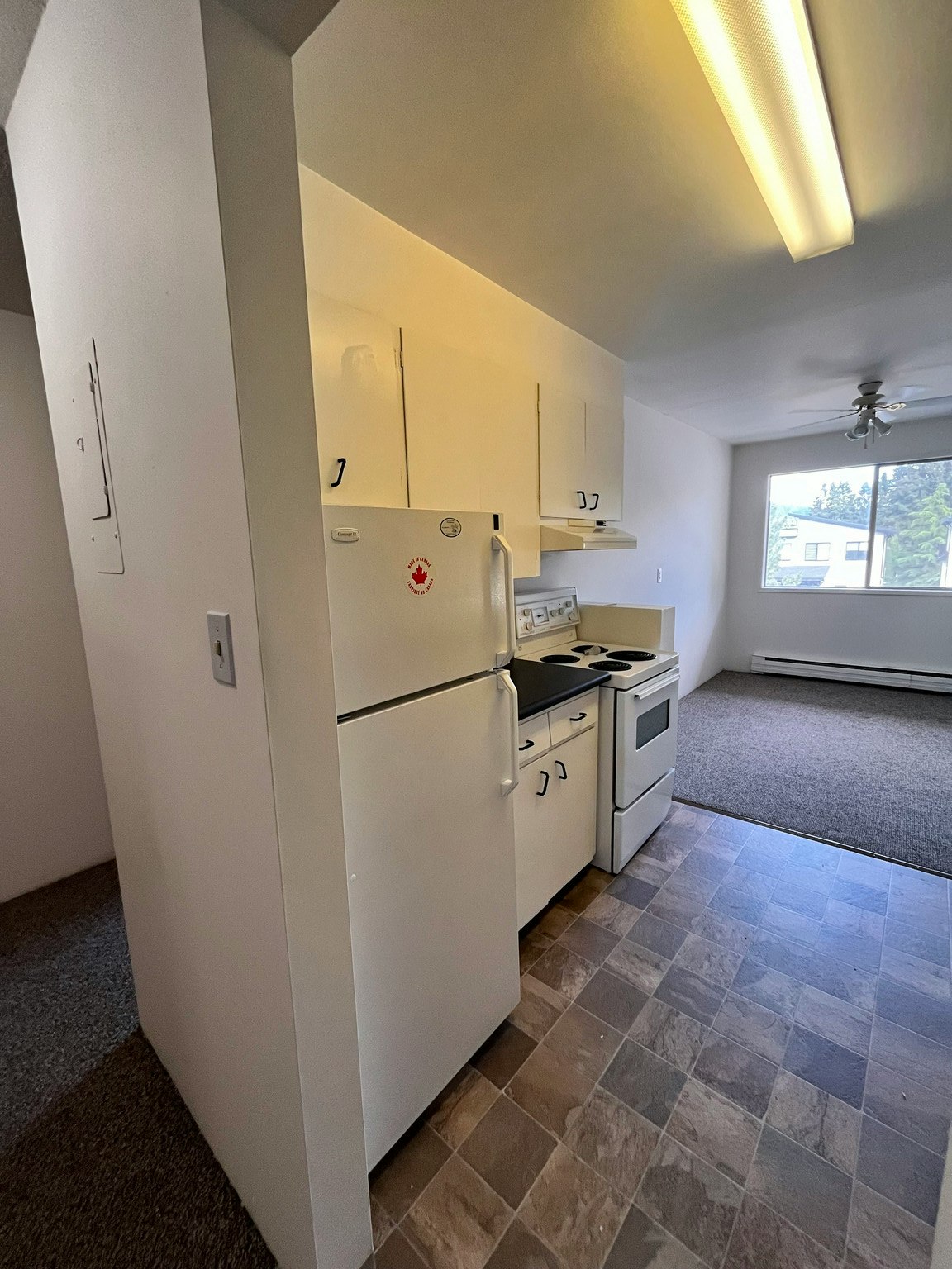 101-33702 Mcdougall Avenue, Abbotsford, BC, V2S 1W4 - 4