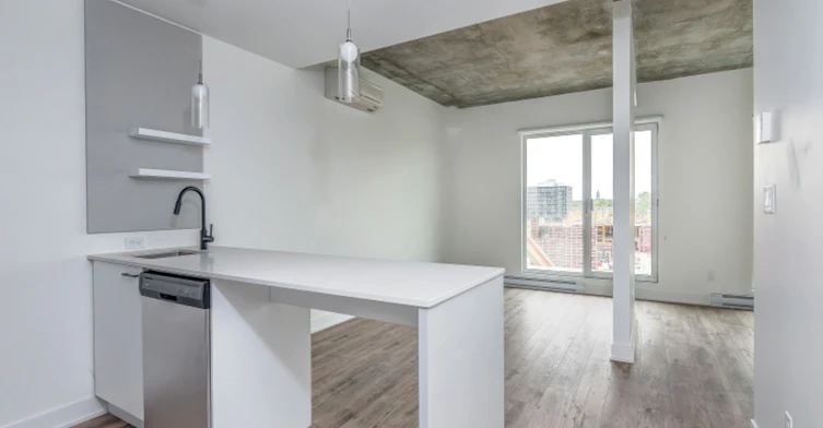 1250 Thérèse Lavoie Roux Avenue, Montréal, QC, H2V 0B3 - 13