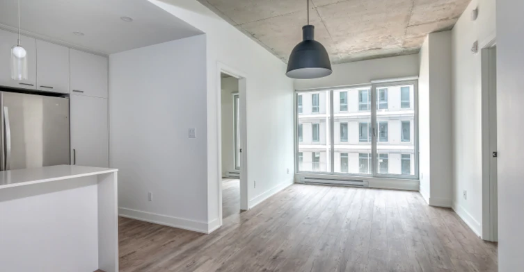 1250 Thérèse Lavoie Roux Avenue, Montréal, QC, H2V 0B3 - 30