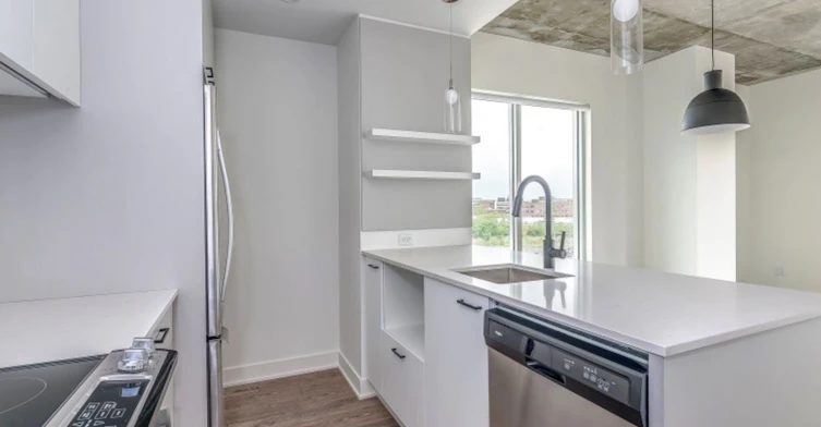 1250 Thérèse Lavoie Roux Avenue, Montréal, QC, H2V 0B3 - 3