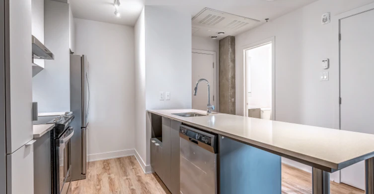 230 Dominion Rue, Montréal, QC, H3J 1N4 - 9