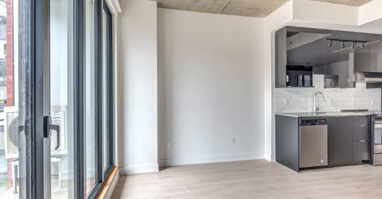 1705 William Rue, Montréal, QC, H3J 1R3 - 9